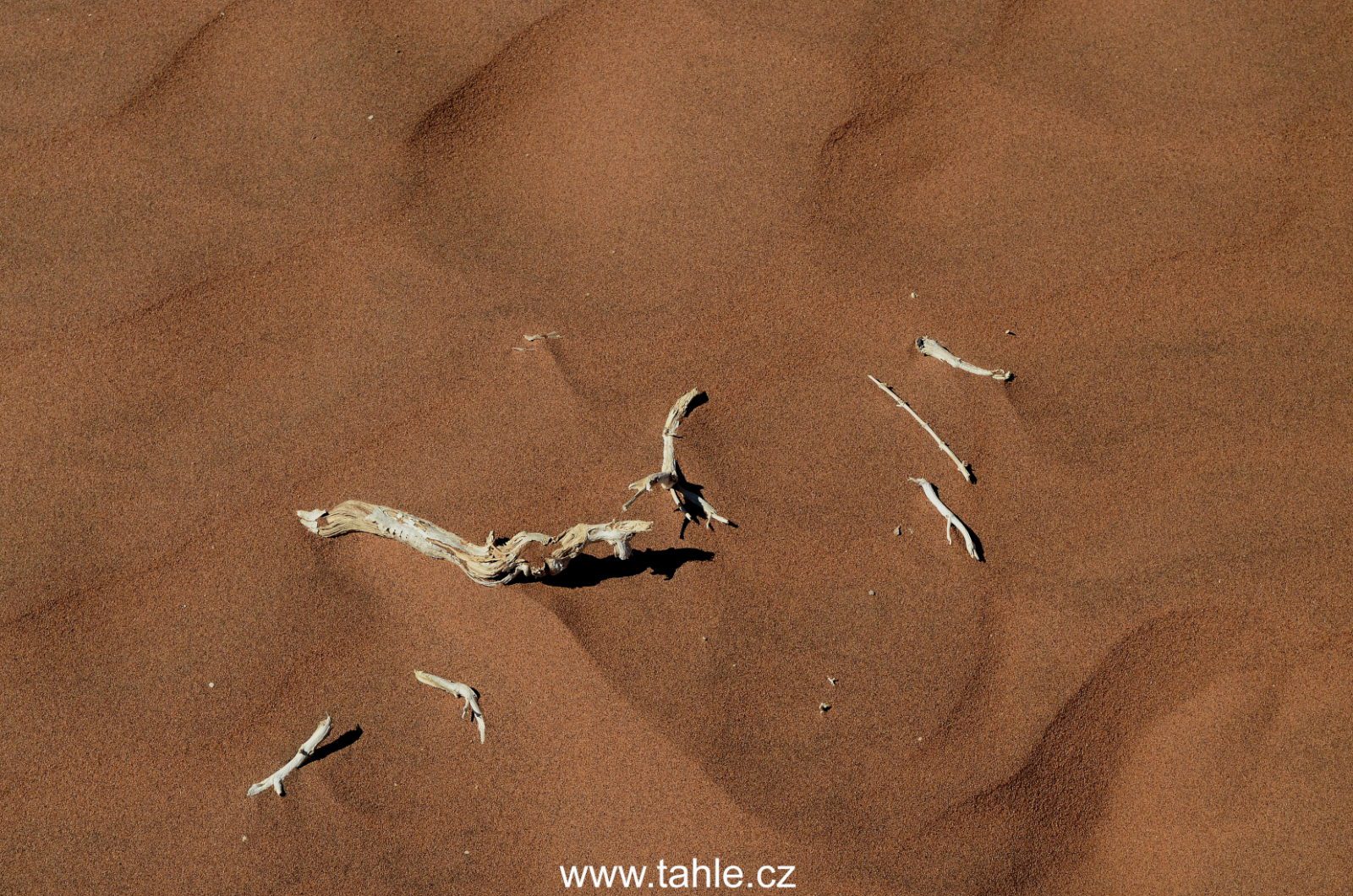 Sossusvlei