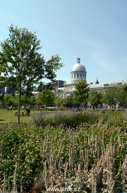 Montreal