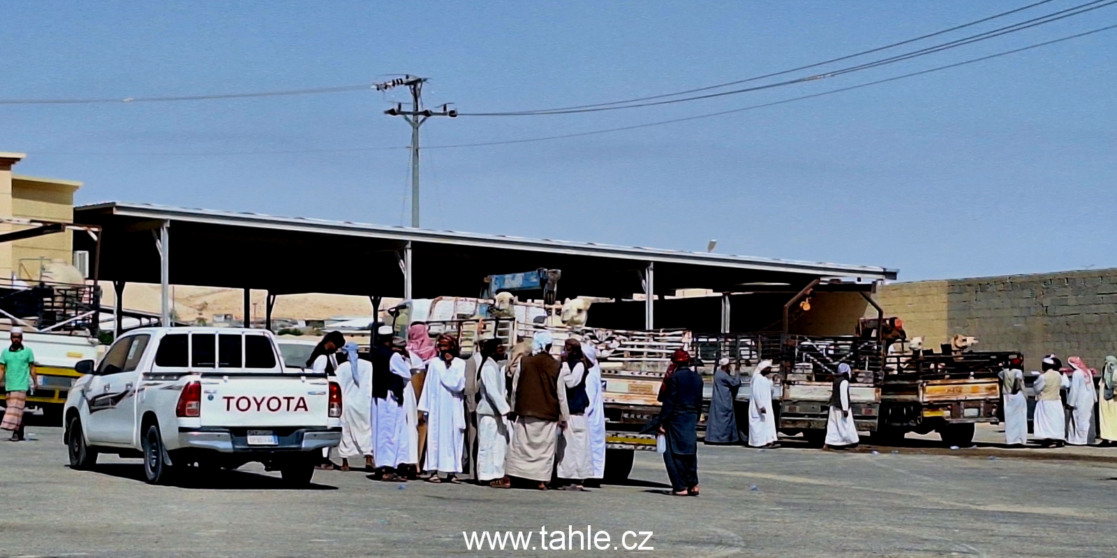 Al Hofuf
