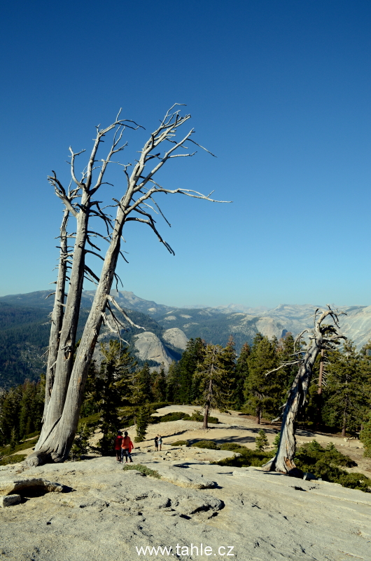 NP Yosemite