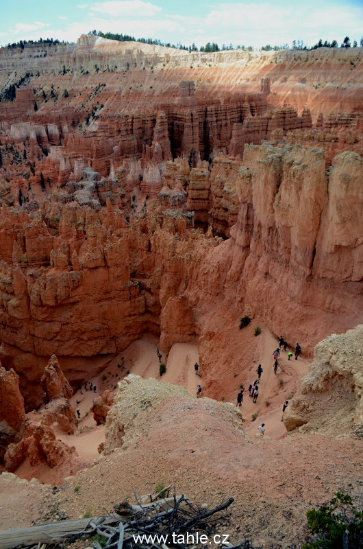 NP Bryce Canyon