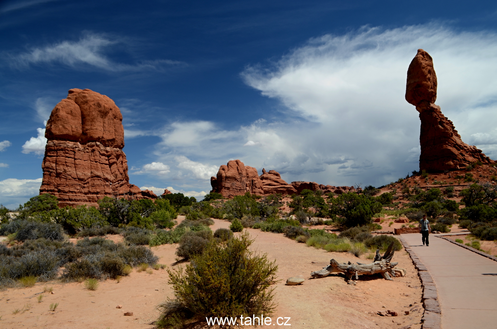 NP Arches