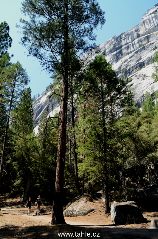 NP Yosemite