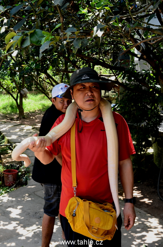 Delta Mekongu