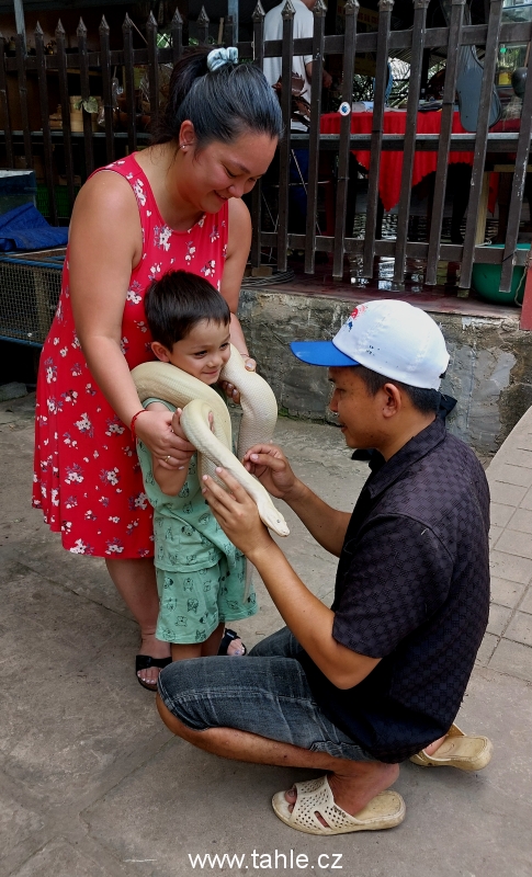 Delta Mekongu