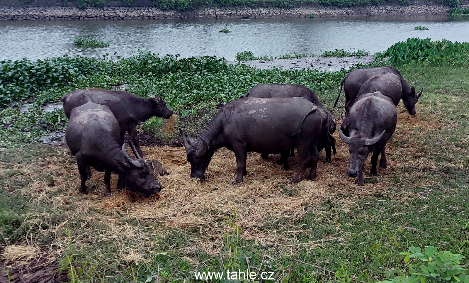 Ninh Binh
