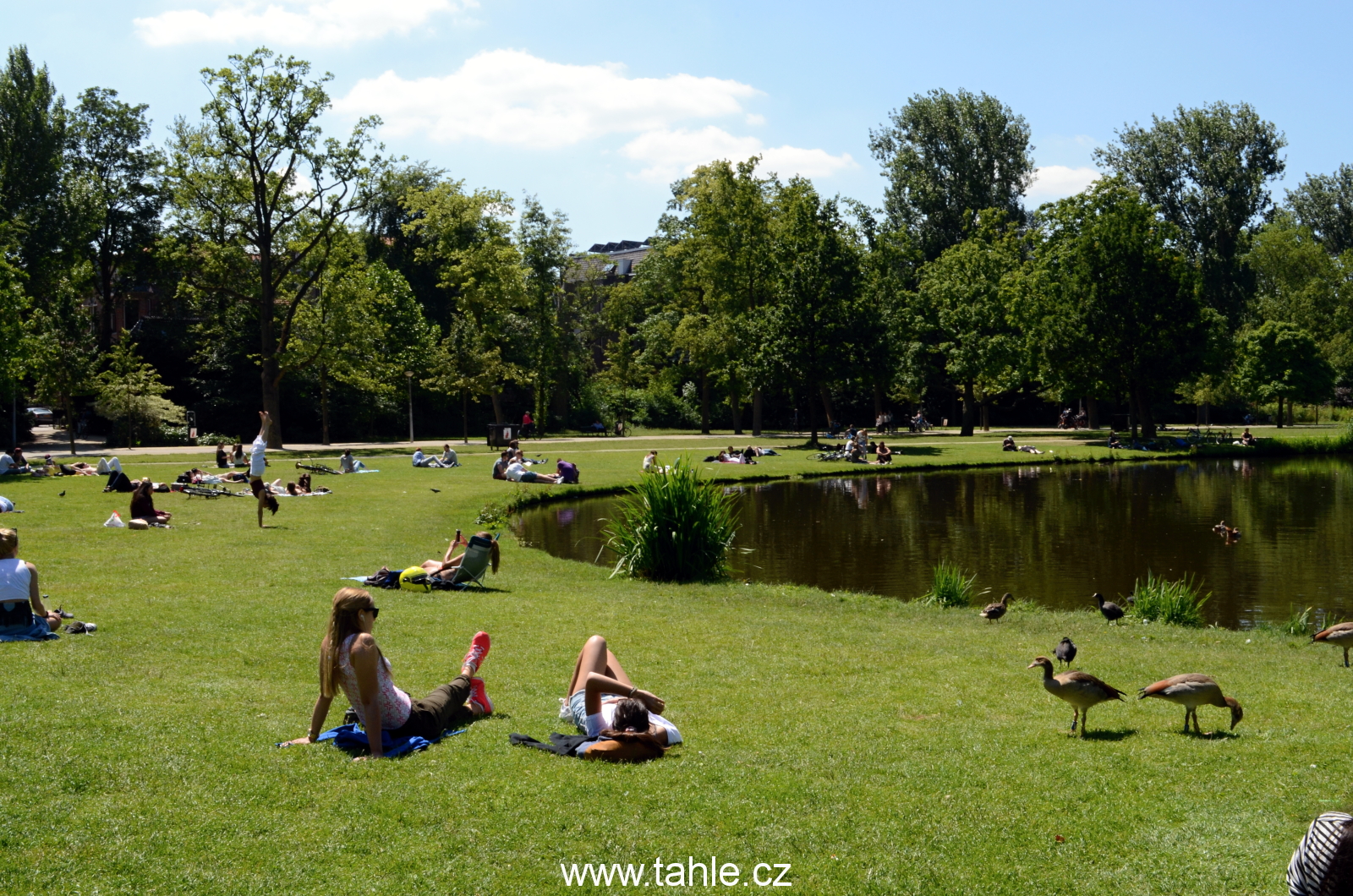 Amsterdam - kanály a květiny