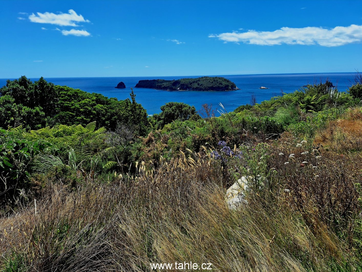 Cathedral Cove