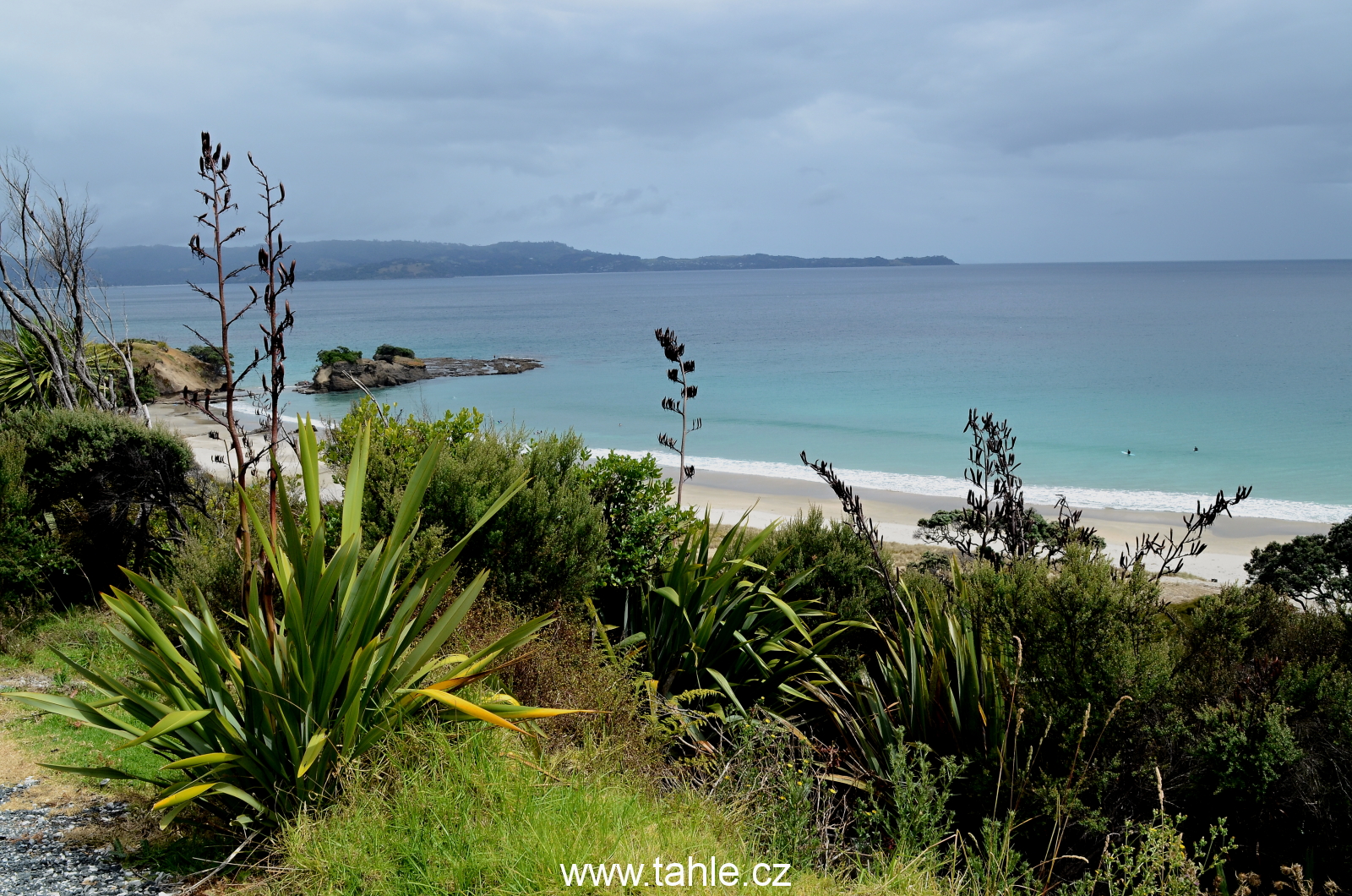 Tawharanui a Orewa