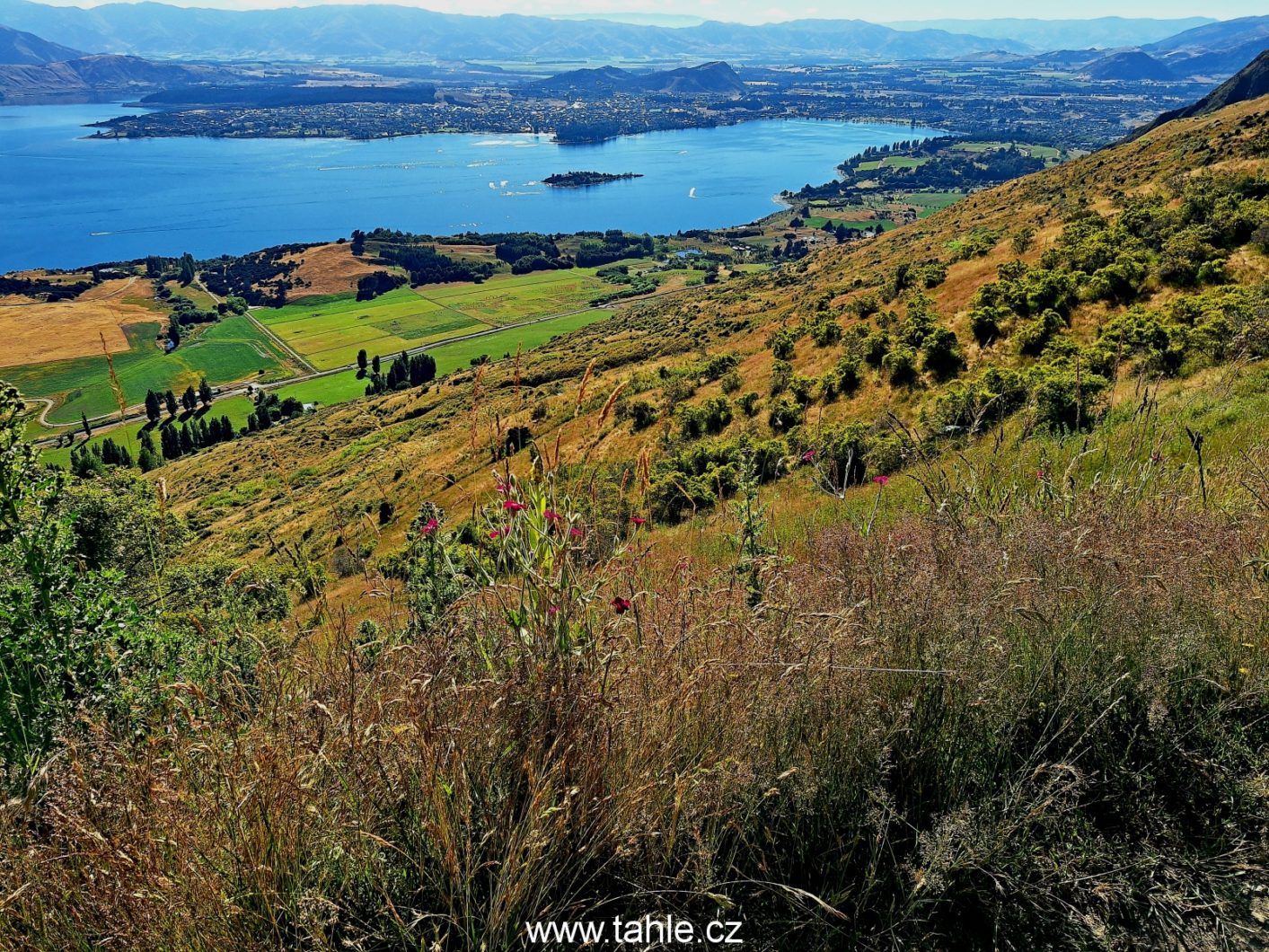 Roys Peak