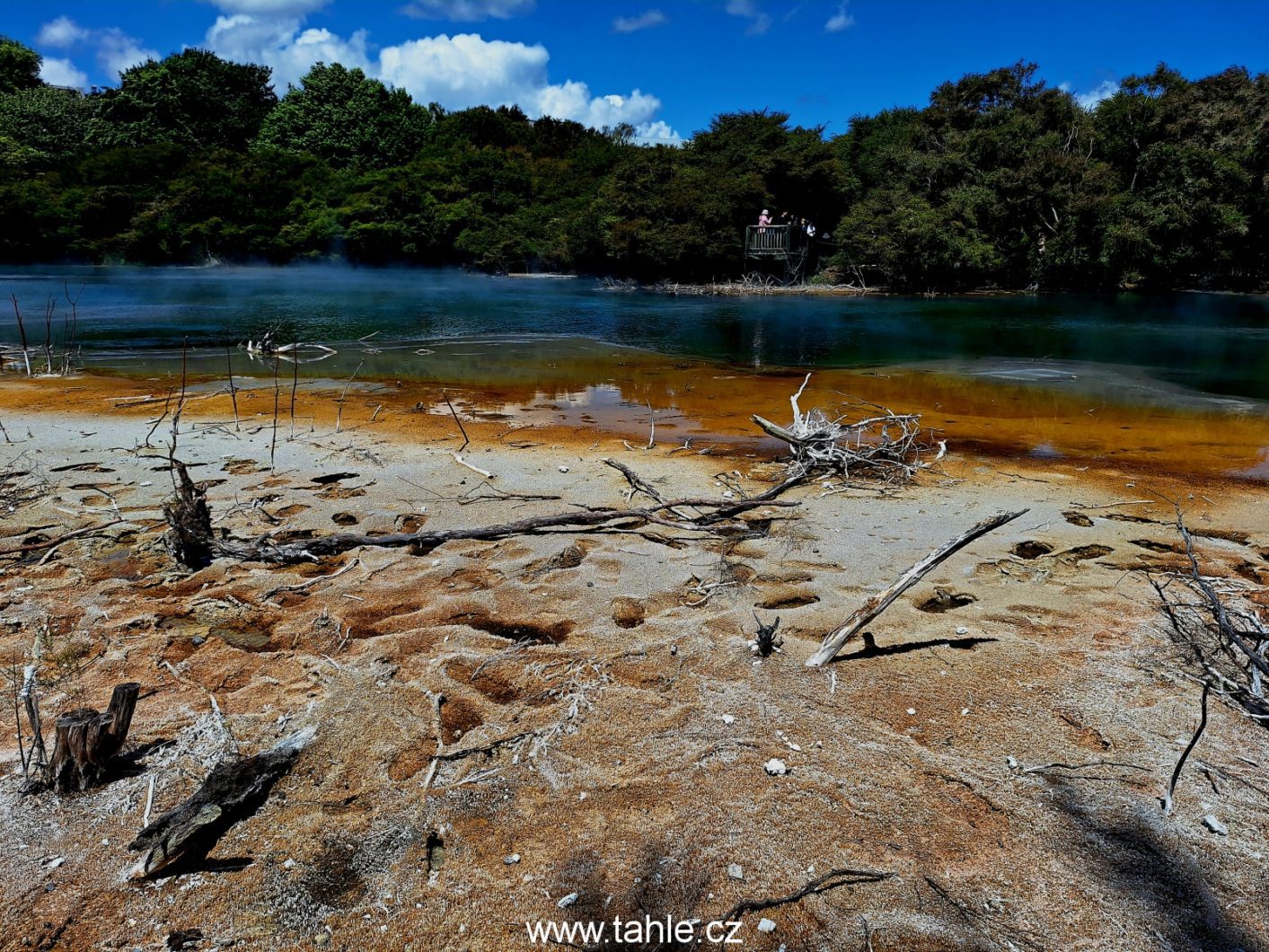 Rotorua