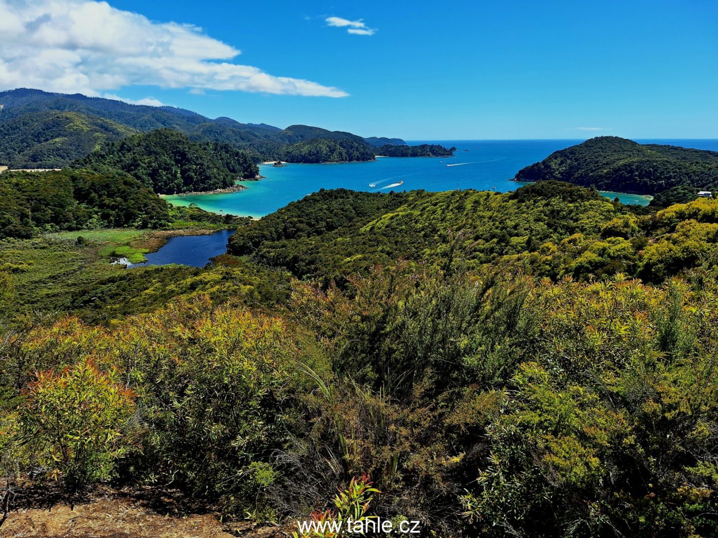 Abel Tasman Coast Track