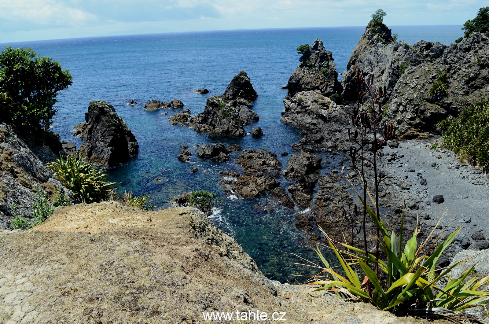 Tawharanui a Orewa