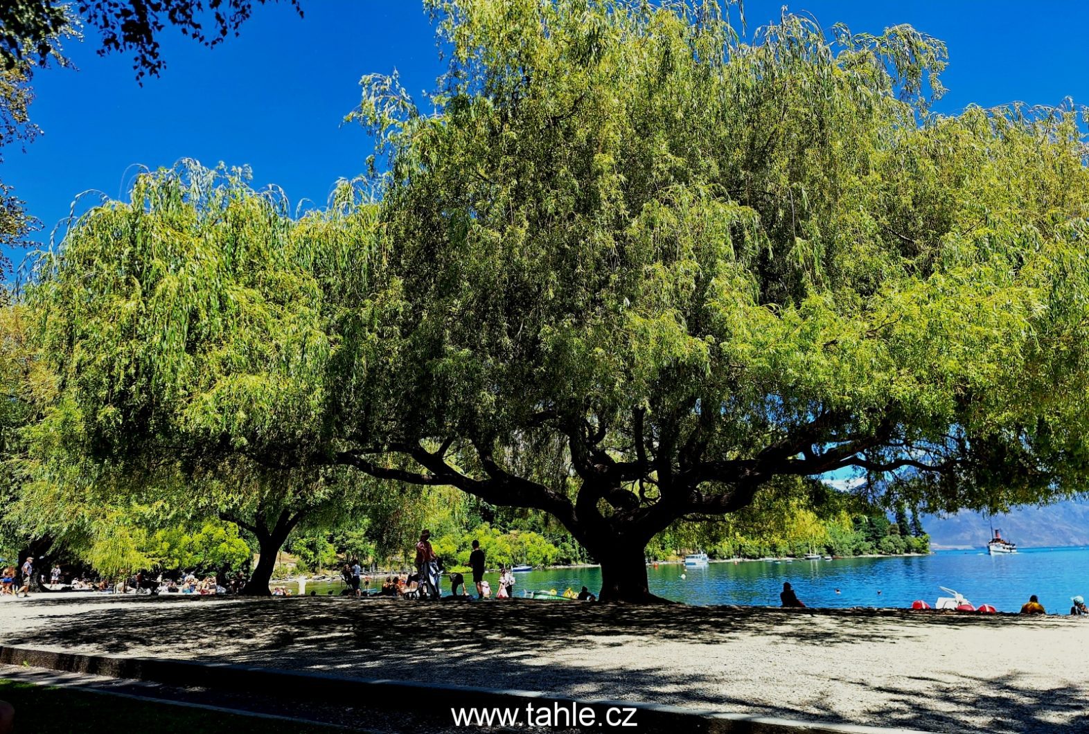 Te Anau