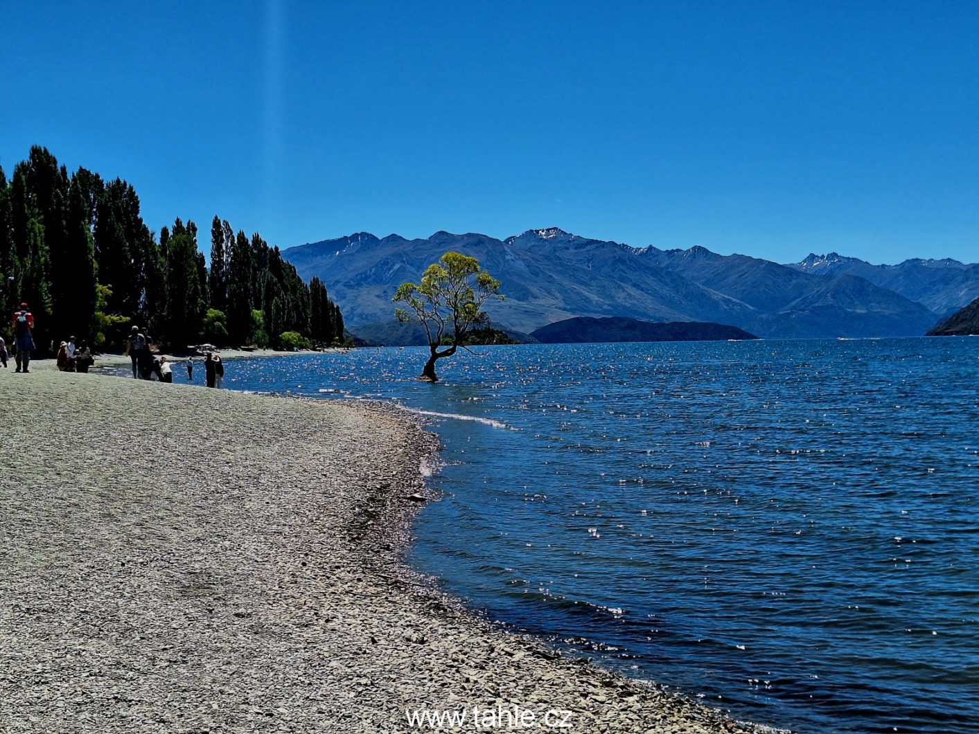 Roys Peak