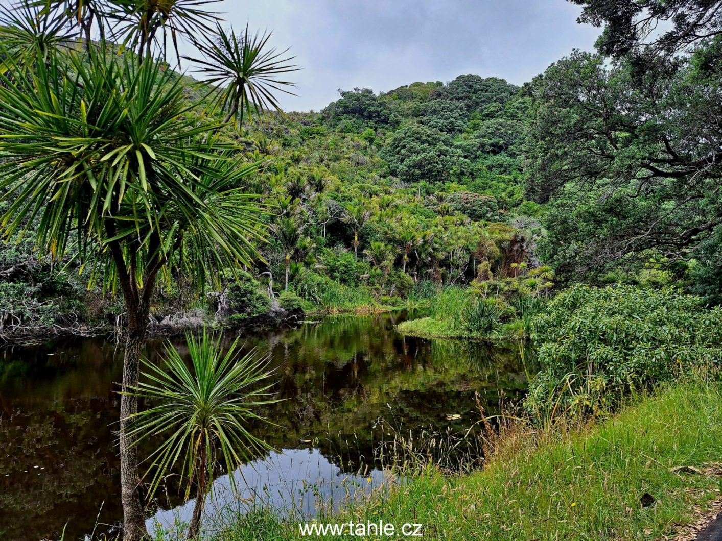Piha