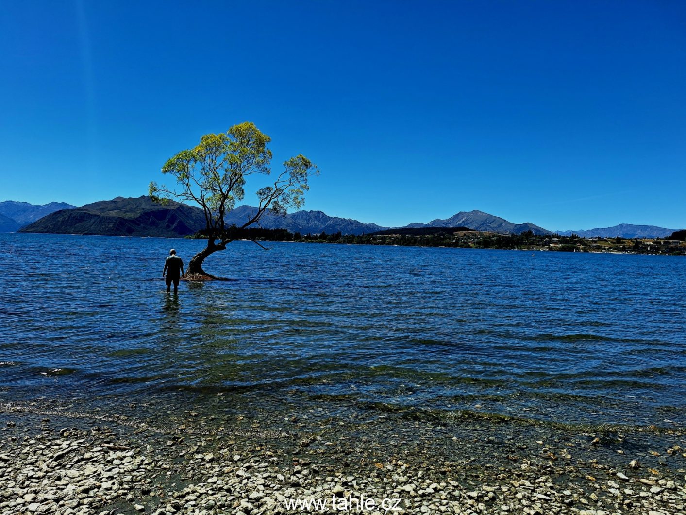Roys Peak