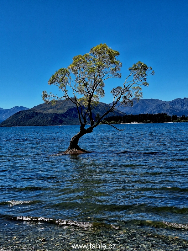 Roys Peak
