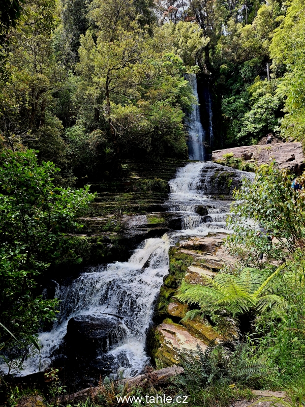 Catlins