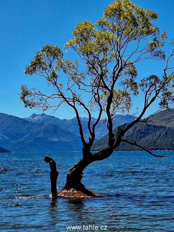 Roys Peak