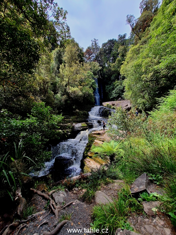Catlins