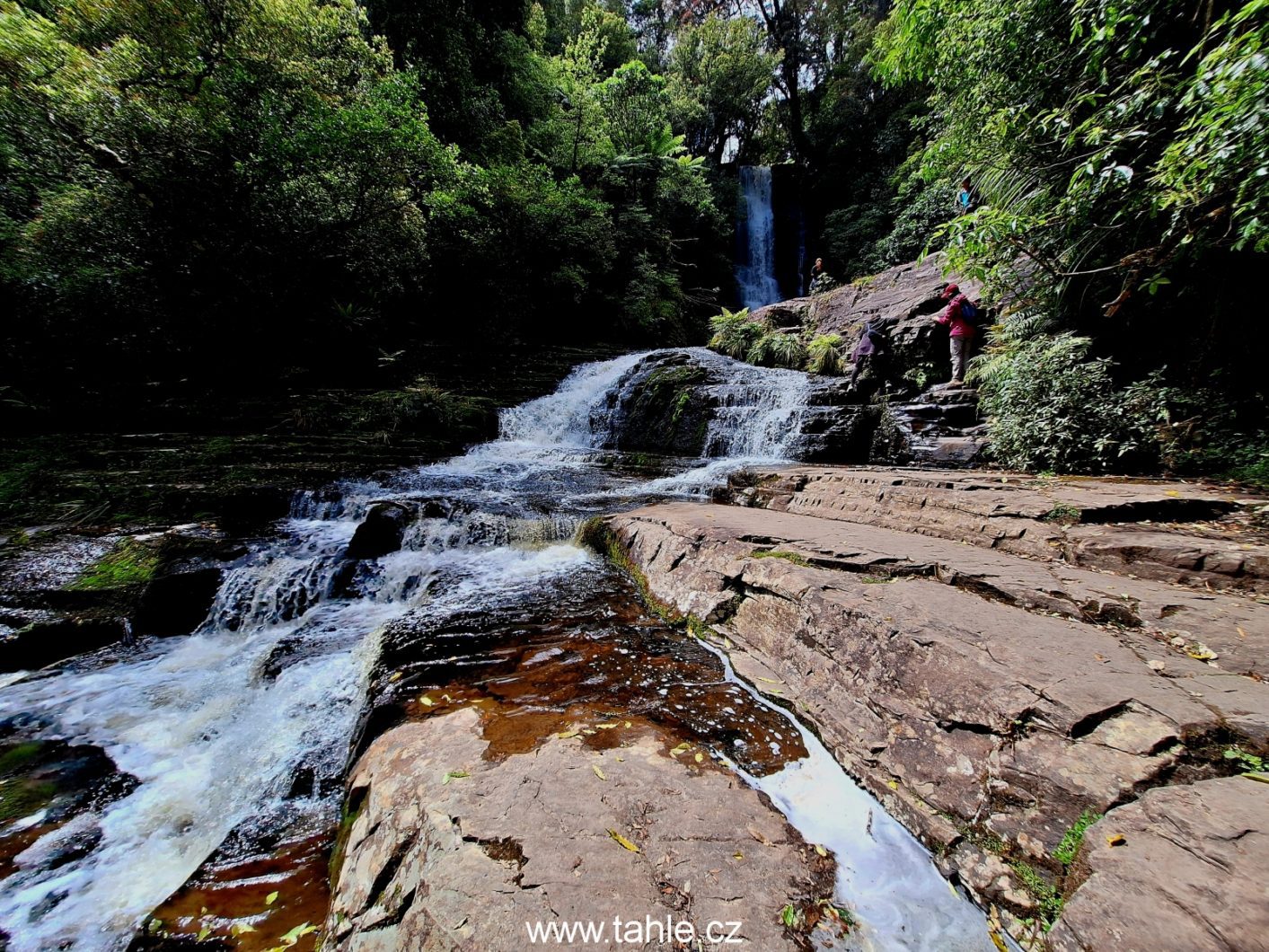 Catlins