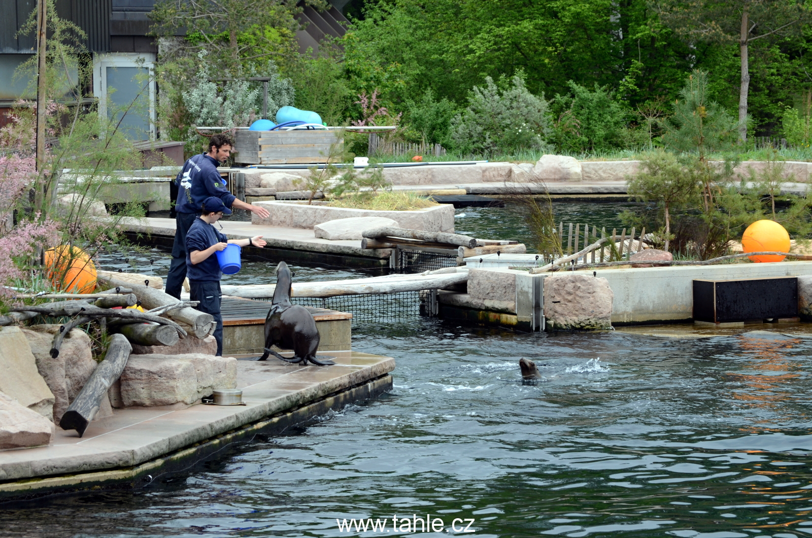 Norimberk ZOO