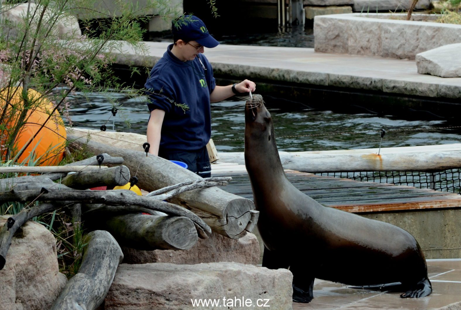 Norimberk ZOO