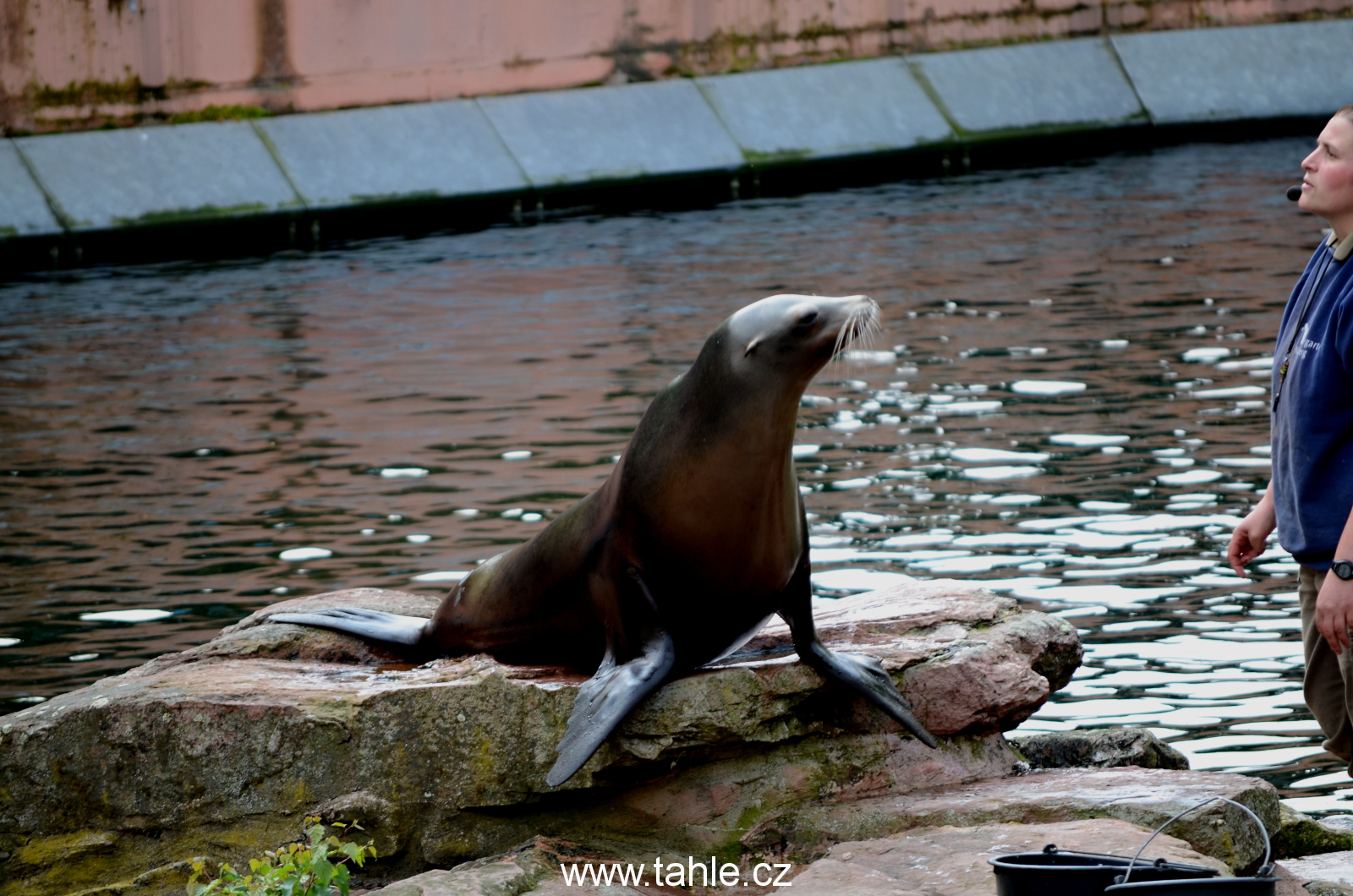 Norimberk ZOO