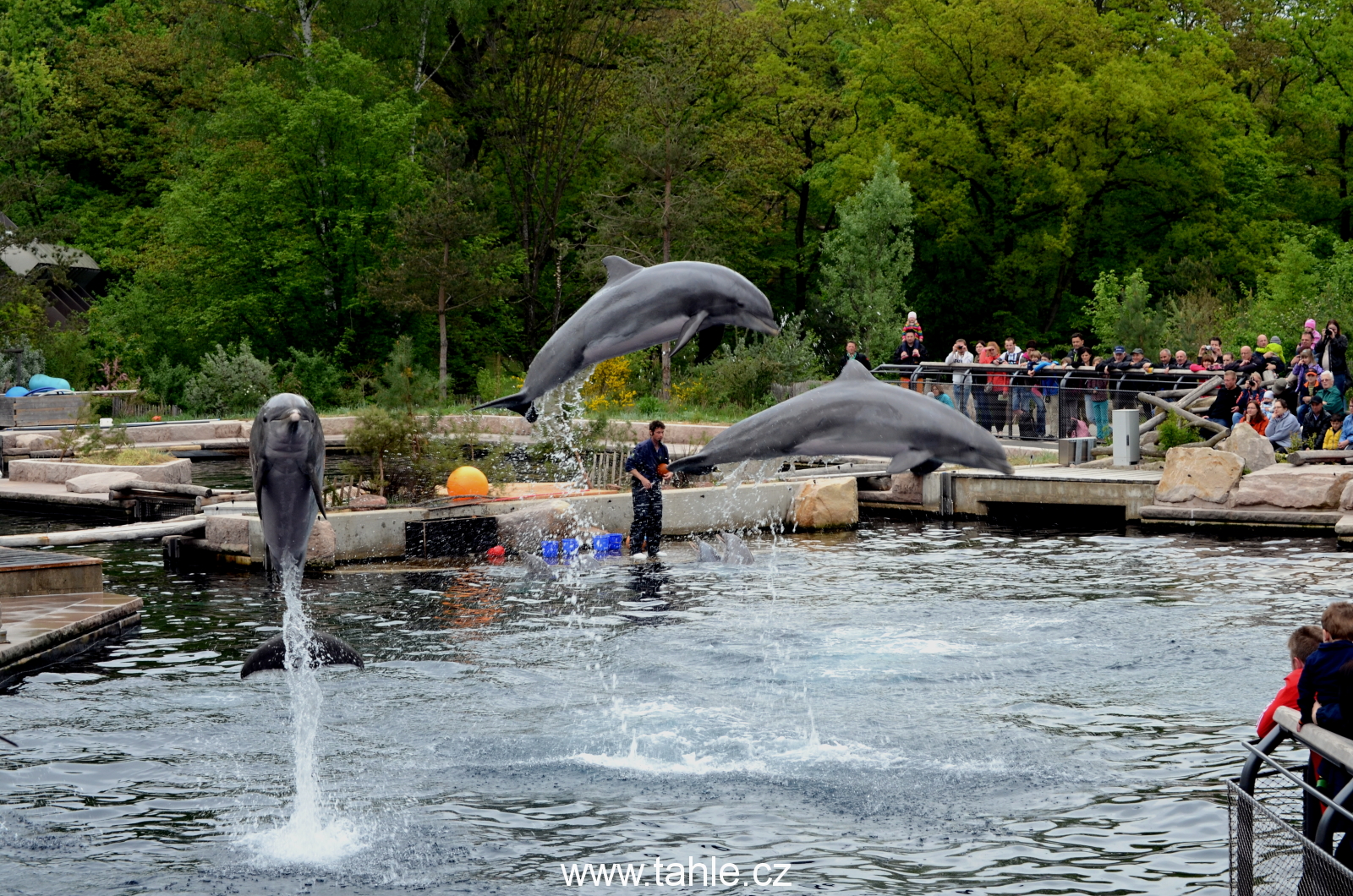 Norimberk ZOO