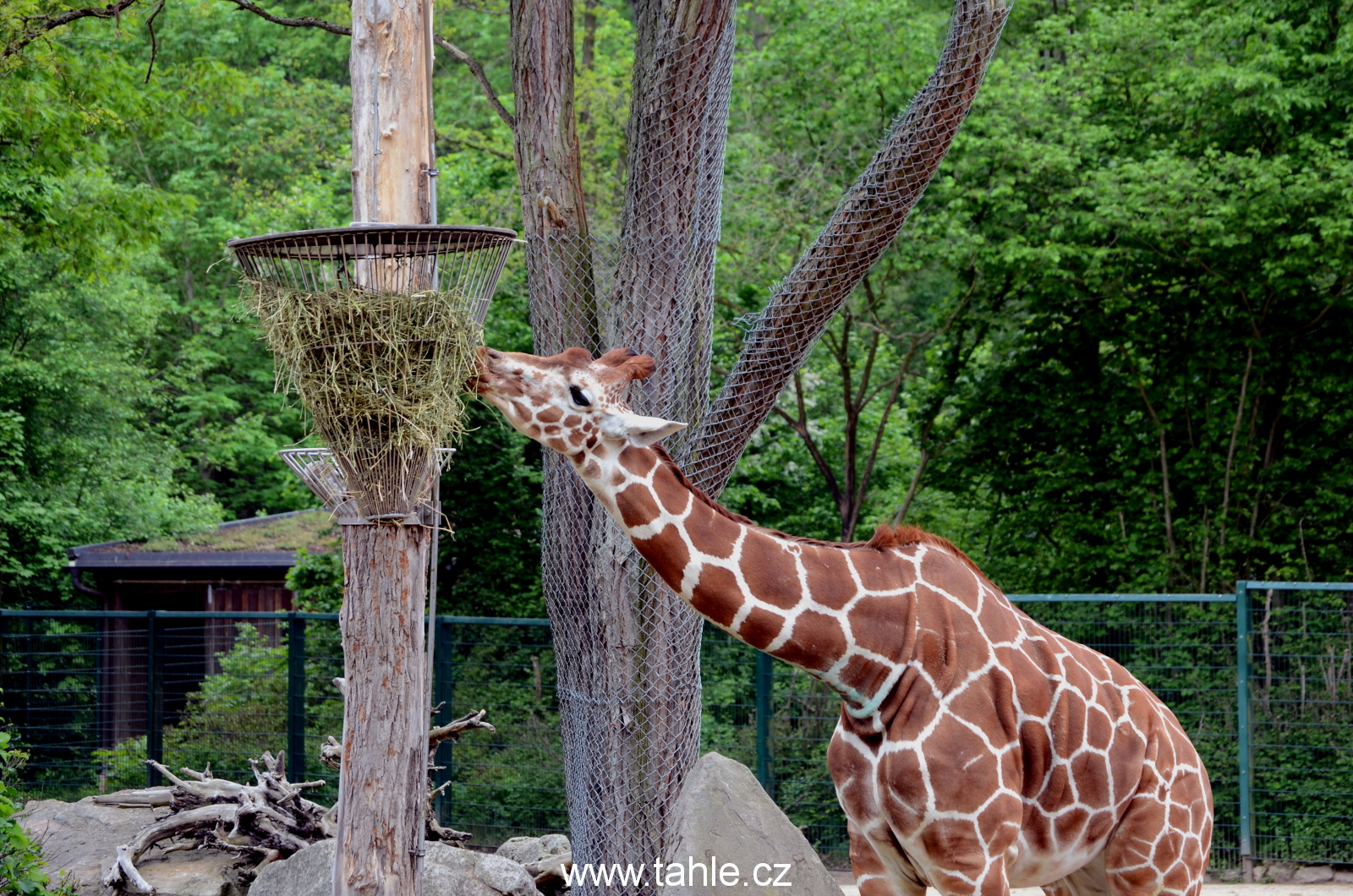 Norimberk ZOO
