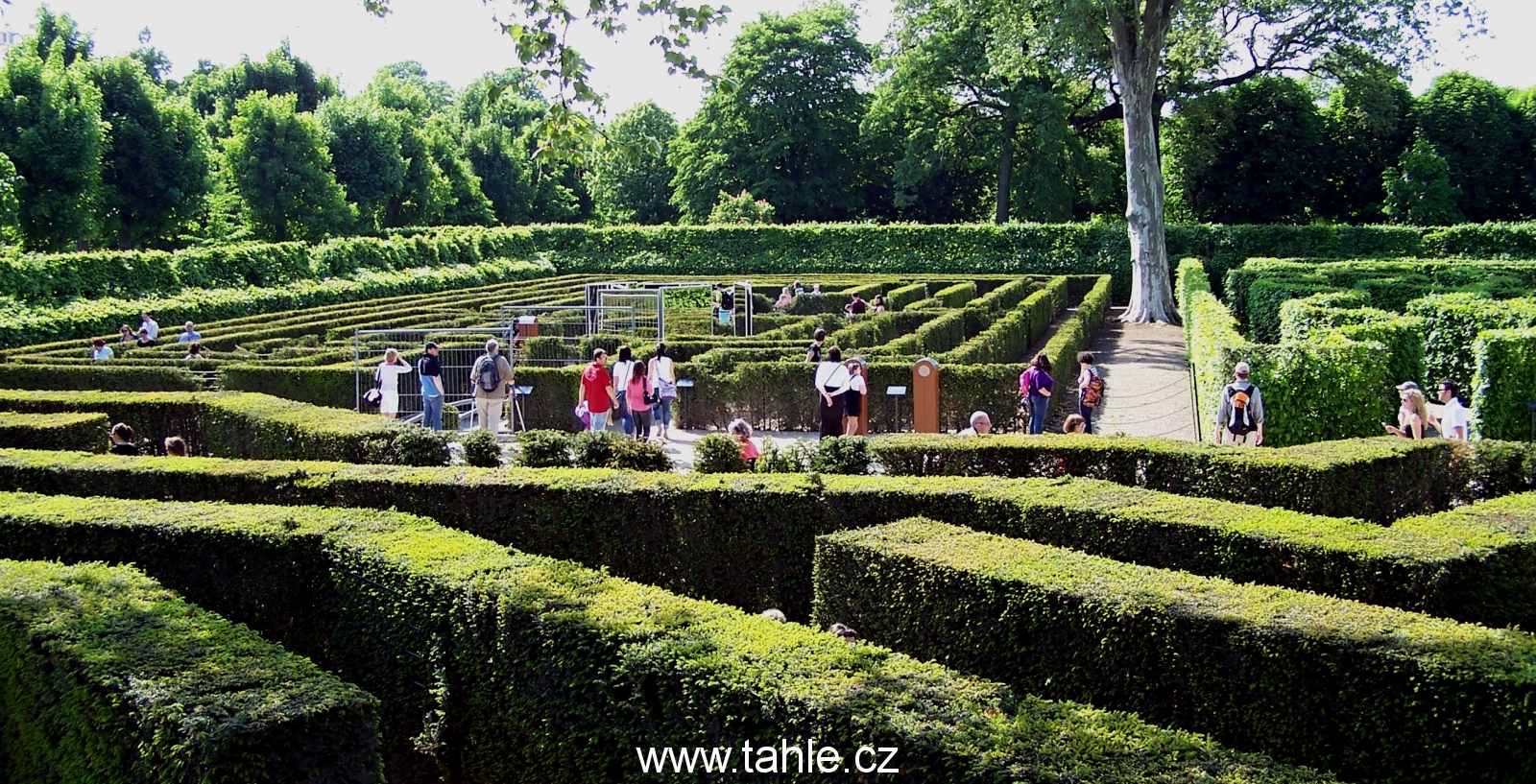 Wien ZOO
