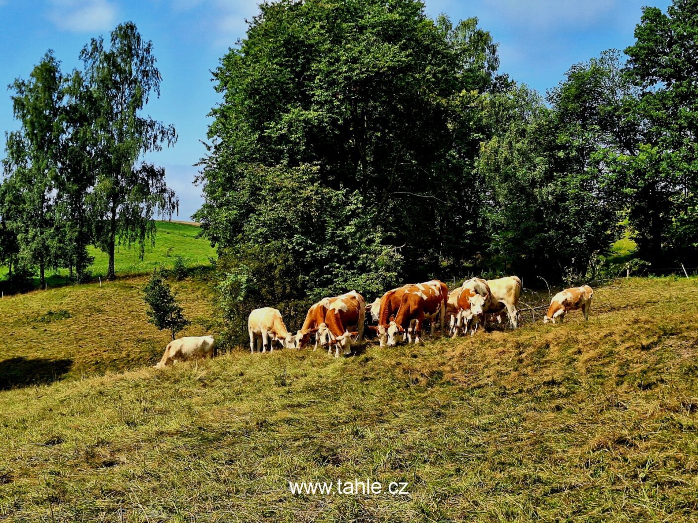 Hinterhermsdorf