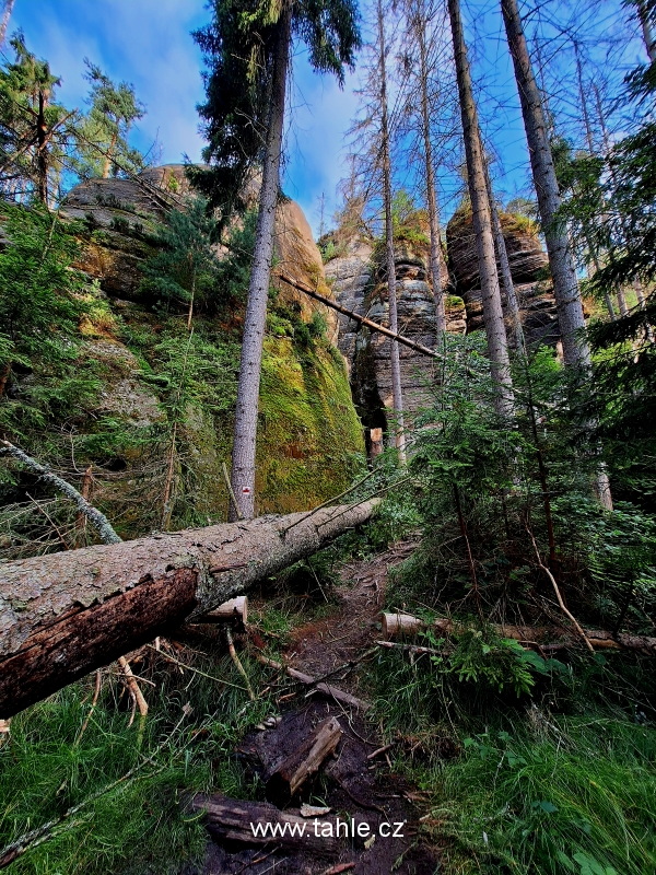 Hinterhermsdorf